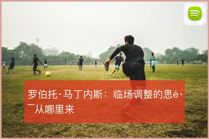 罗伯托·马丁内斯:临场调整的思路从哪里来