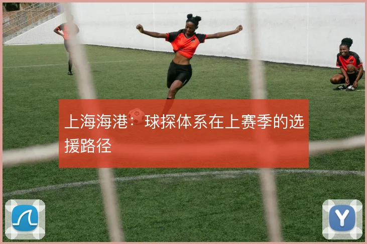 上海海港:球探体系在上赛季的选援路径