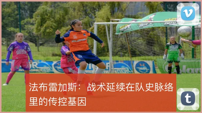 法布雷加斯:战术延续在队史脉络里的传控基因